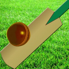 Activities of Cricket Exchange