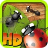 Angry Bugs HD