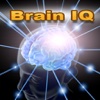 Brain IQ