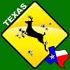 Bag Limits - TEXAS