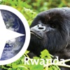 Ontdek Rwanda