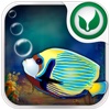 Fish Challenge For iPad