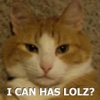 LOLcatMaker Free