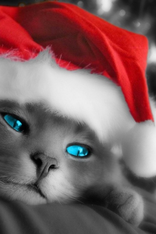 *Christmas*