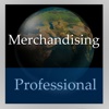 Merchandising Handbook (Professional Edition)