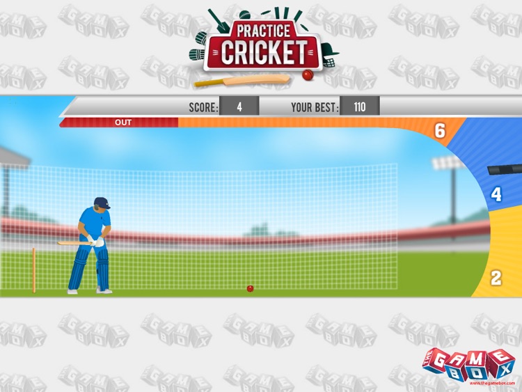 Practice Cricket screenshot-3