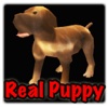 Real Puppy 3D