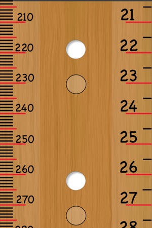 Free Pocket Ruler(圖4)-速報App