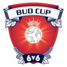 Activities of Budweiser Cup 6v6