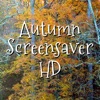 Autumn Screensaver HD