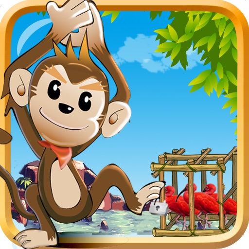 Nimble Monkey