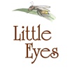 Little Eyes