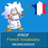 french, improve your vocabulary