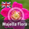 An interactive guide to the woody plants of the Majella National Park (C Italy)