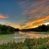 Save the Beaver Pond