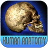 Atlas Of Real Human Anatomy HD
