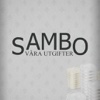 Sambo - Våra utgifter