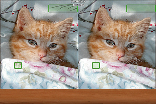 How to cancel & delete Cats Spot the Difference from iphone & ipad 2