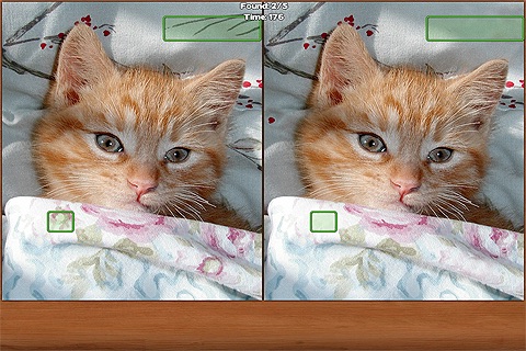 Cats Spot the Difference screenshot 2