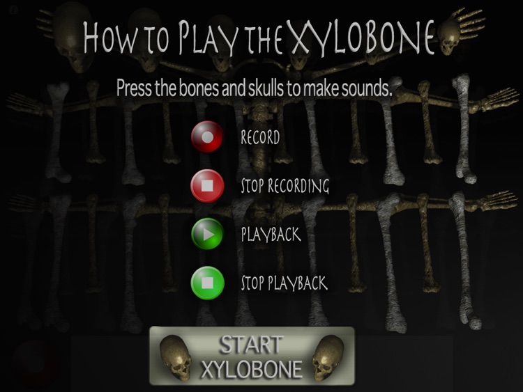 A Xylobone