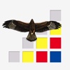 Roofvogels en uilen van Nederland