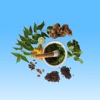Ayurvedic Herbs And Minerals