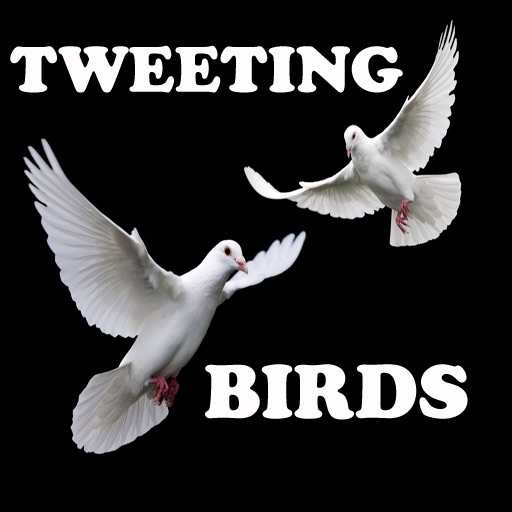 Tweeting Birds icon