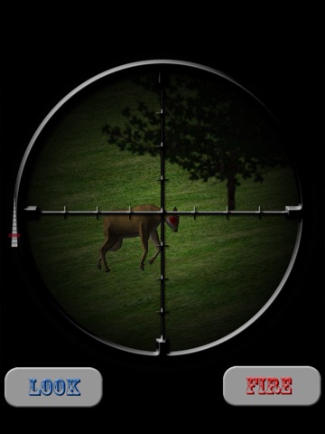 iHunt 3D HD на iPad