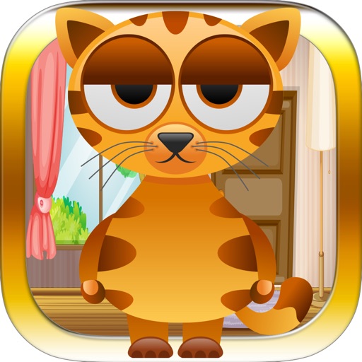 Amazing Clumsy Cat Luxury - String Ball Playful Jumping Challenge icon