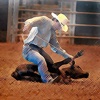 Calf Roping