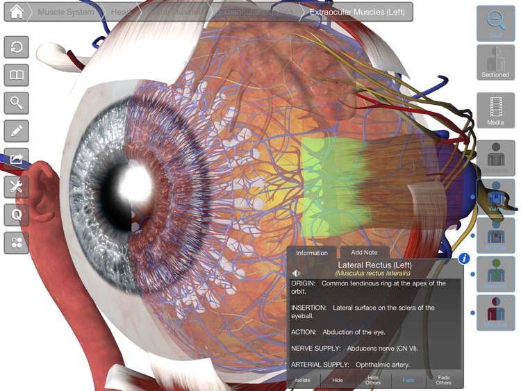 Eye - Practical Series