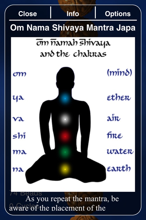 Om Namah Shivaya Japa screenshot-3