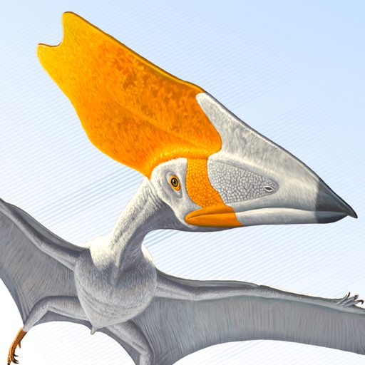 Pterosaurs Flight In The Age of Dinosaurs Exhibit Catalogue