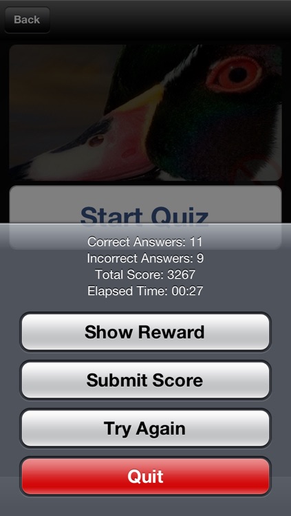 Llama or Duck or Honey Badger or Raptor? screenshot-4