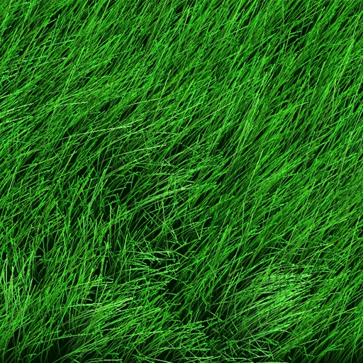 Grass iOS App