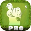 Golf Swing Birdie Coach - Golfing Green, Clubs & Balls PRO