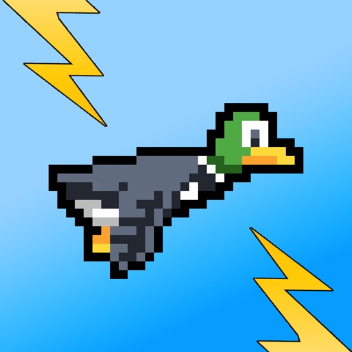 Zappy Duck