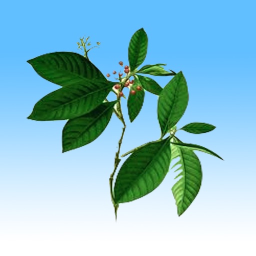 Herbal Encyclopedia icon