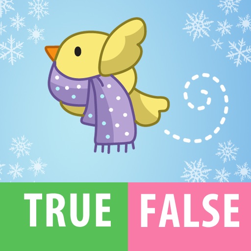 True or False Winter time