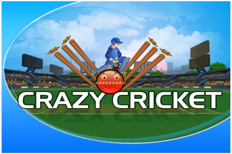 Crazy Cricket screenshot-3