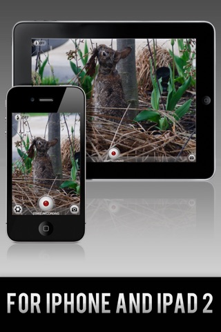 RecordNow - Quickest and Simplest Video Recorder screenshot 3