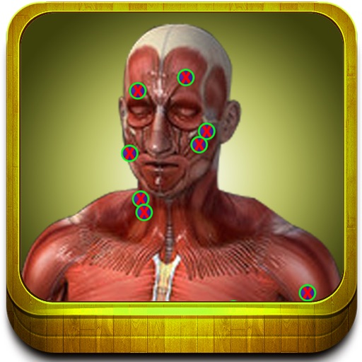 Muscle Trigger Points - Visually Interactive icon