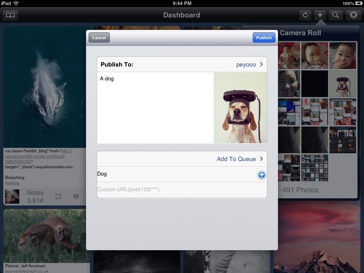 TumBoard for Tumblr screenshot-3