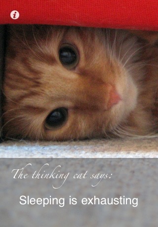 The Thinking Cat screenshot 3
