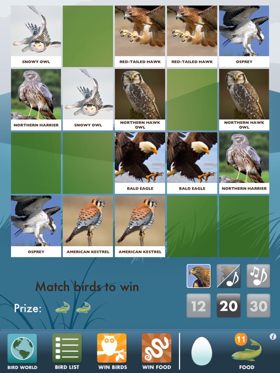 My Birds of Prey HD