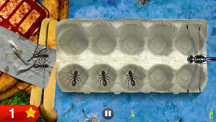 Bugs and Numbers