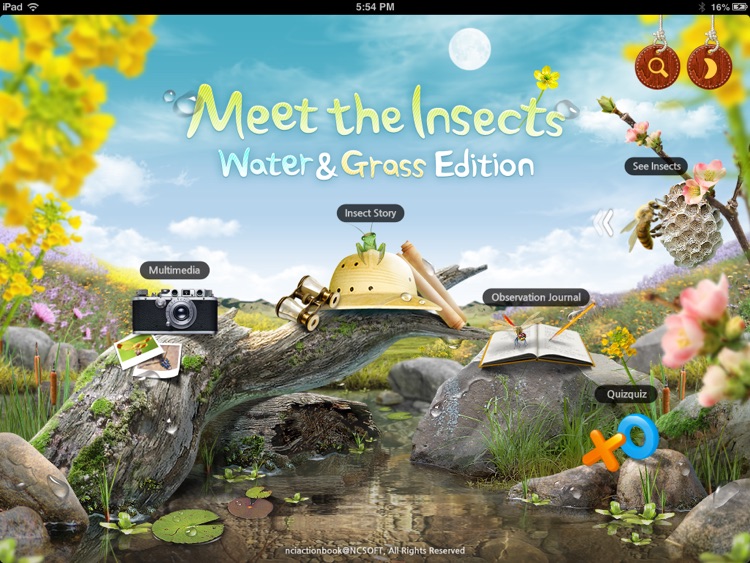 Meet the Insects: Water & Grass Edition