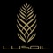 The Lusail City App is an interactive solution to explore and experience one of the most innovative real estate projects in Qatar and the Middle East