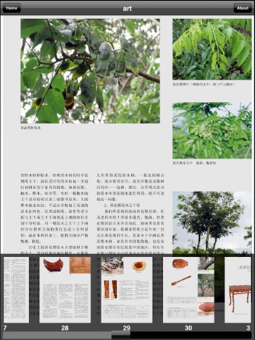 黄花梨文化展 screenshot 4