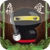 Ninja Slingshot Knockdown (iPad Version)